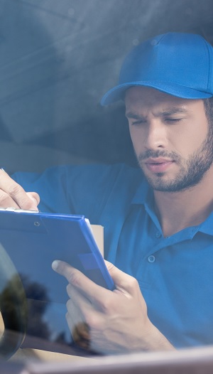 international Removals